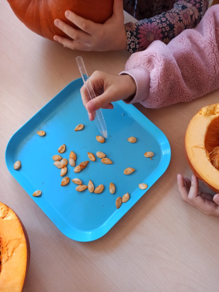 „Dyniowi poszukiwacze” w grupie Zajączki